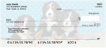 Bernese Mountain Dog Pups Keith Kimberlin  Personal Checks