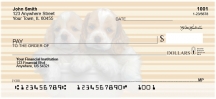 Cocker Spaniel Pups Keith Kimberlin