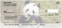 Panda Bears Checks