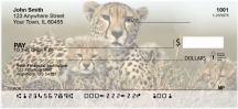 Big Cat Babies Checks