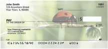 Ladybugs Personal Checks