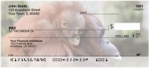 Baby Monkeys Checks