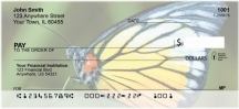 Butterfly Bonanza Checks