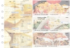 Mexican Cuisine Payroll Invoice Business Checks