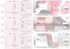 Makeup Payroll Invoice Business Checks