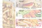 American Cuisine Standard Invoice Business Checks