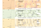 Fruit Standard Counter Signature Business Checks