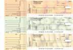 Fruit Standard Invoice Business Checks