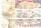 Mexican Cuisine Standard Mailer Business Checks