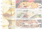Mexican Cuisine Itemized Invoice Business Checks