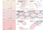 Makeup Standard Mailer Business Checks