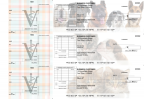 Veterinarian Standard Itemized Invoice Business Checks