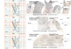Veterinarian Standard Mailer Business Checks
