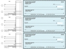 Teal Safety Standard Business Checks