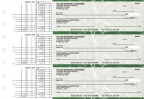 Green Marble Multi Purpose Business Checks