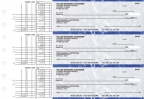 Blue Marble Multi Purpose Business Checks