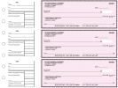 Pink Safety General Business Checks