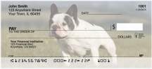 French Bulldog Checks