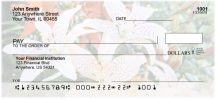Stargazers Personal Checks