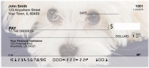 Bichon Frise Personal Checks