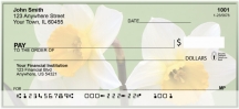 Dreamy Daffodils Checks