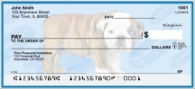 Bulldog Pups Keith Kimberlin Checks