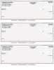 Grey Safety 3 Per Page Laser Checks