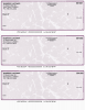 Violet Marble 3 Per Page Laser Checks