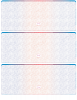 Blue Red Blank High Security 3 Per Page Laser Checks