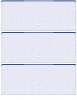 Blue Safety Blank High Security 3 Per Page Laser Checks