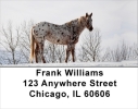 Appaloosa Address Labels