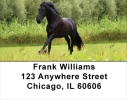 Award Winning Stallions Address Labels