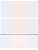 Blue Red Blank High Security Bottom Laser Checks