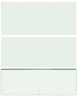 Green Safety Blank High Security Bottom Laser Checks