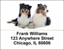 Australian Shepherd Address Labels