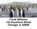 Penguin Address Labels