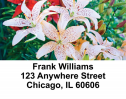 Stargazers Address Labels