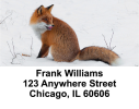 Animal Speed Address Labels
