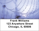 Web of Life Address Labels