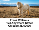 Wild Horses Address Labels