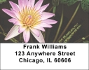 Divine Lotus Flowers Labels