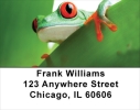 It\'s A Froggy Frog World Address Labels