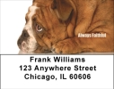 Bulldogs With Marine Attitude Address Labels
