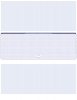 Blue Safety Blank High Security Middle Laser Checks