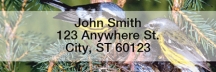 Baby Birds Rectangle Address Labels