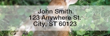 Baby Deer Rectangle Address Labels