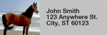 Horse Rectangle Address Labels