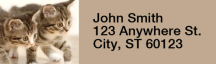 Cute Kittens Rectangle Address Labels