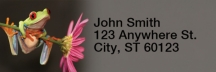 Frogs Narrow Address Labels