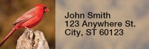 Cardinals Narrow Address Labels